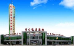 ��ӮVWIN����ʲô����